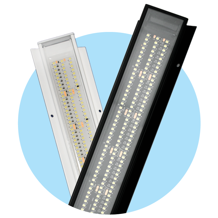 Scene Lights